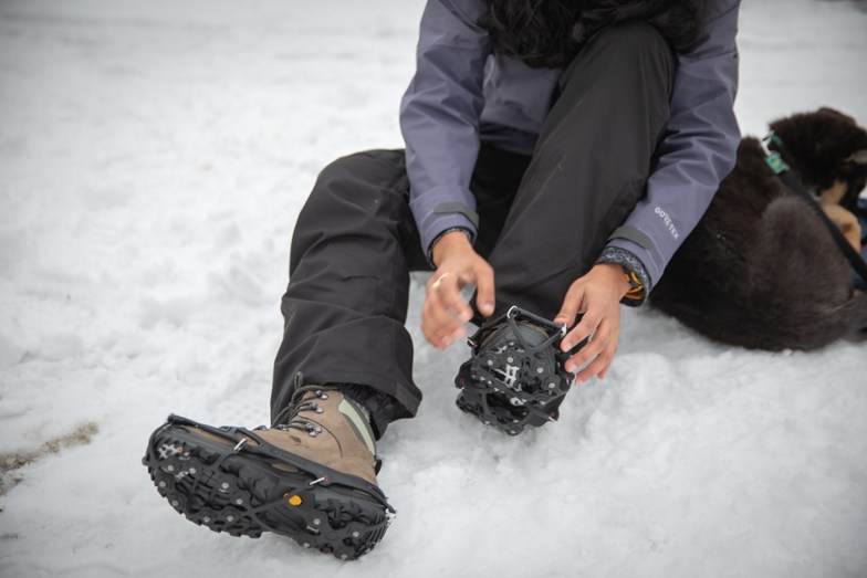Lowa Renegade GTX Mid Hiking Boots