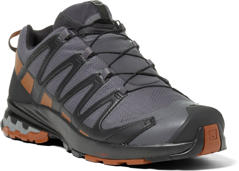 Salomon XA Pro 3D V8 Hiking Shoes
